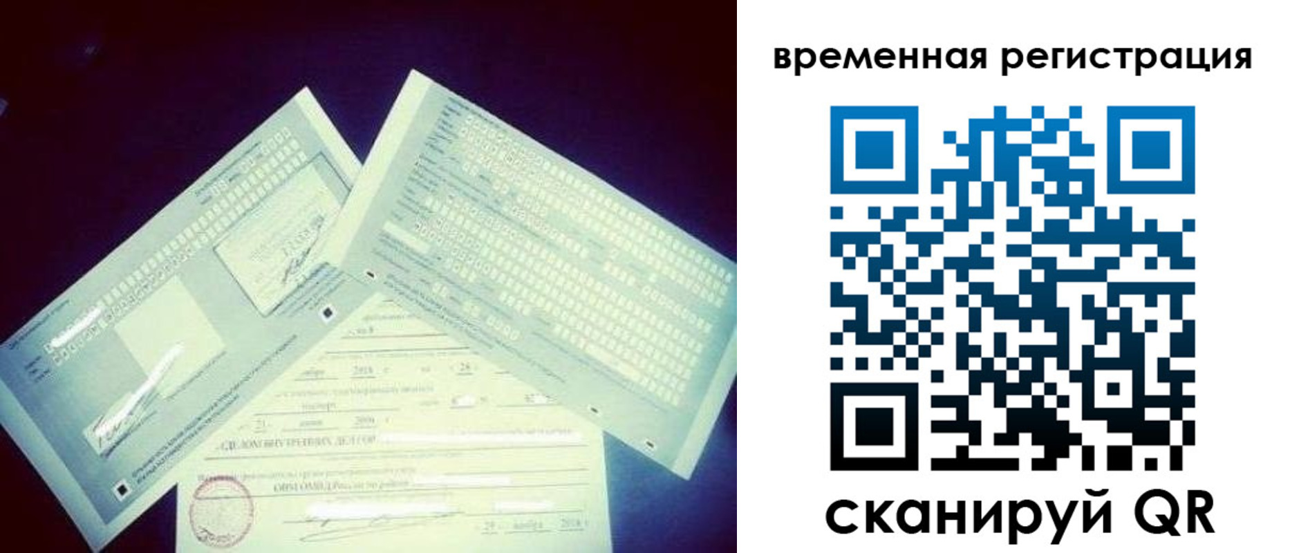 прописка для школы в Белой Калитве